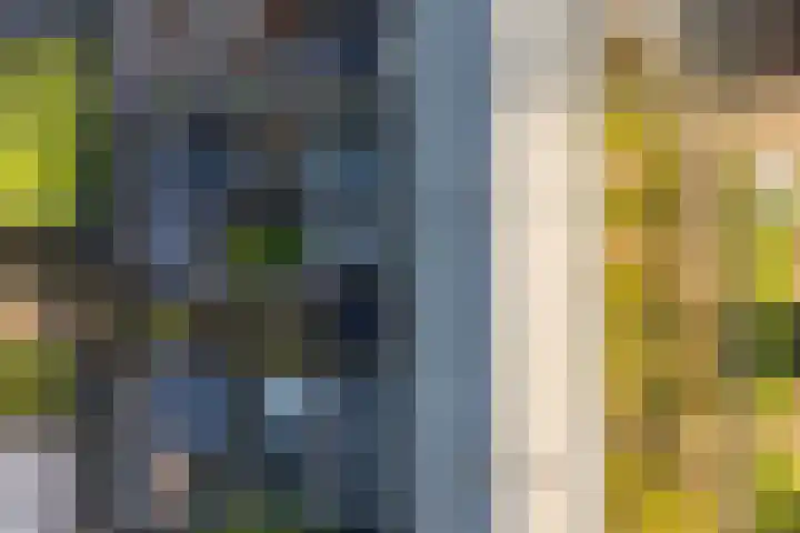 Bindert Japiksstrjitte 9 Drogeham thumbnail 33