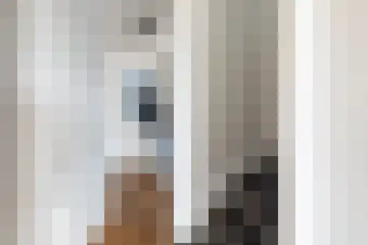 Bindert Japiksstrjitte 9 Drogeham thumbnail 8