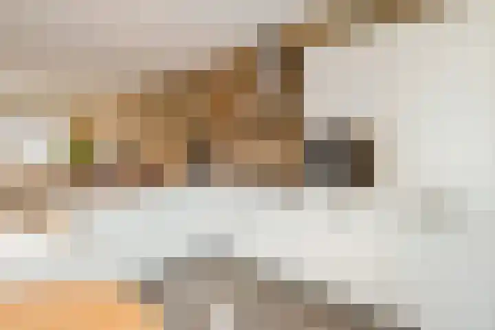 Bindweg 5 a Lemele thumbnail 13