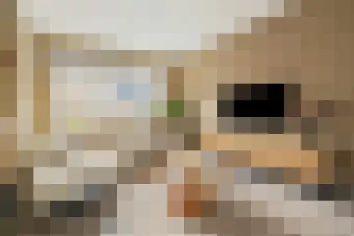 Bindweg 5 a Lemele thumbnail 7