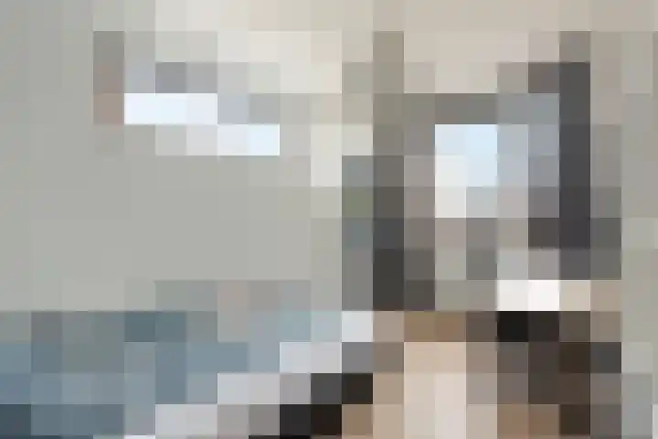 Bindwilg 17 Kampen thumbnail 24