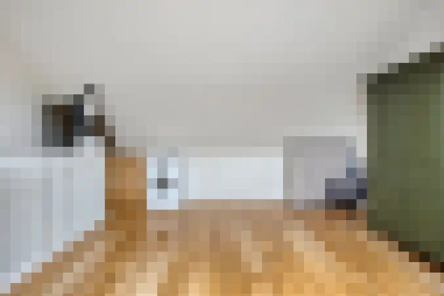 Bindwilg 17 Kampen thumbnail 27