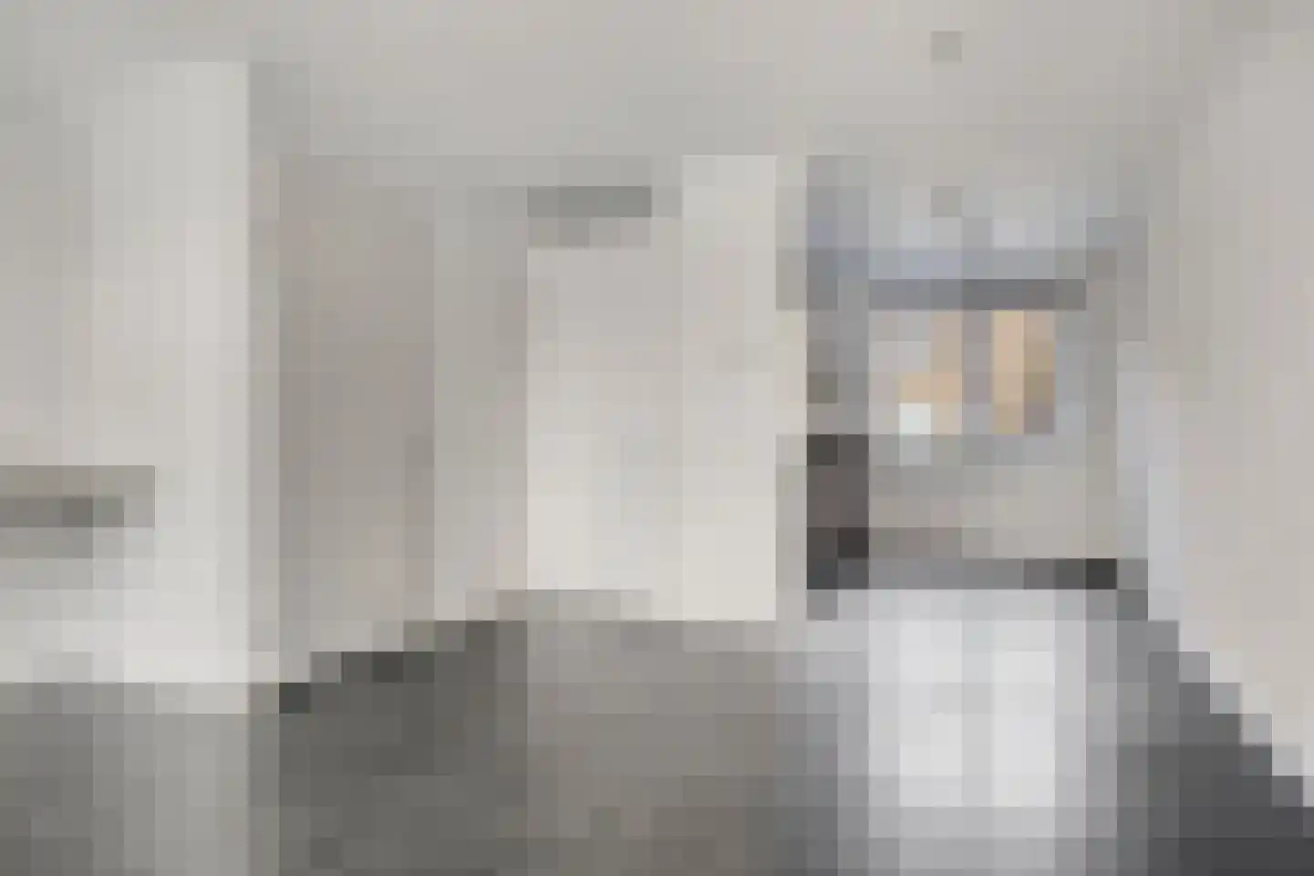 Bindwilg 20 Kampen thumbnail 13