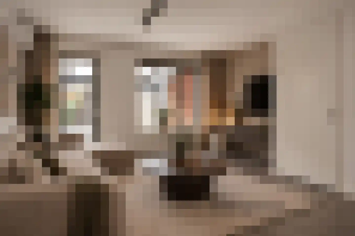 Bindwilg 20 Kampen thumbnail 14