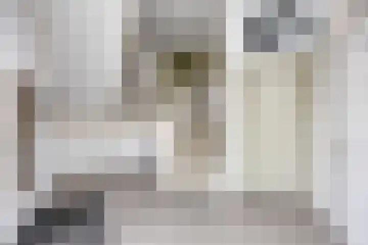 Bing Crosbypad 10 Utrecht thumbnail 11