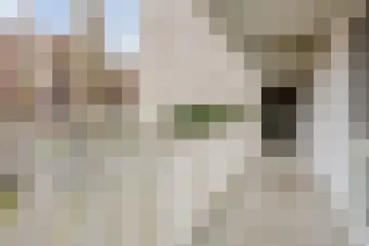 Bing Crosbypad 10 Utrecht thumbnail 13