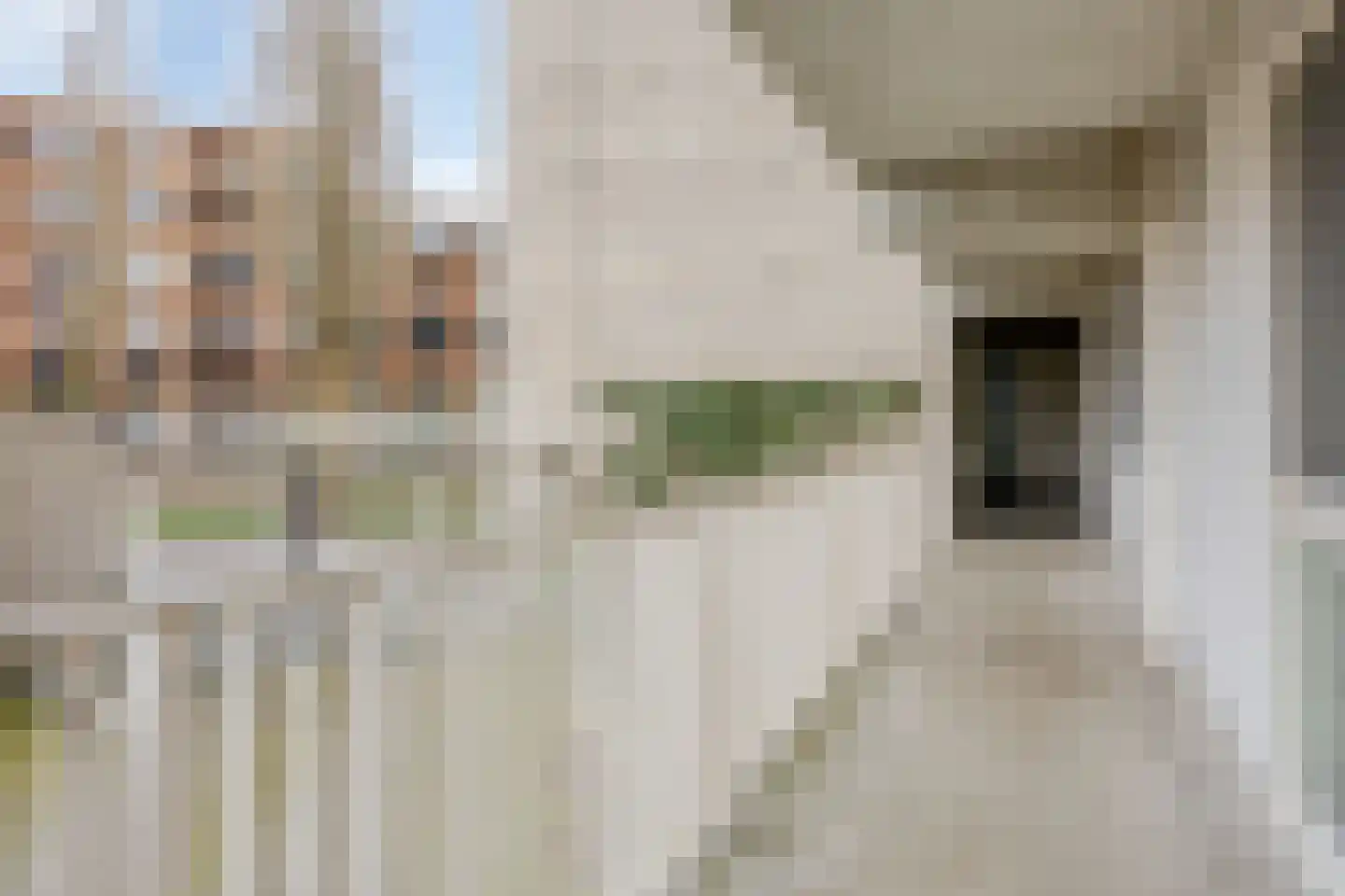 Bing Crosbypad 10 Utrecht thumbnail 13