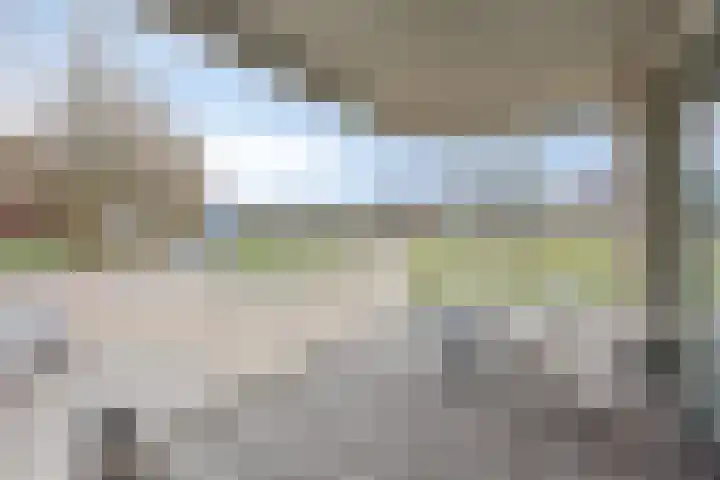 Bing Crosbypad 10 Utrecht thumbnail 33