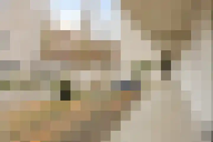 Bing Crosbypad 10 Utrecht thumbnail 36
