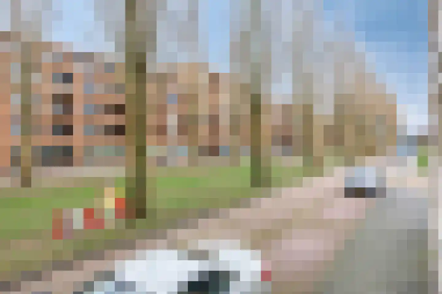 Bing Crosbypad 10 Utrecht thumbnail 43