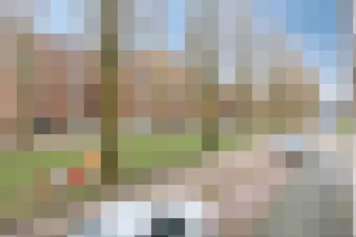 Bing Crosbypad 10 Utrecht thumbnail 43
