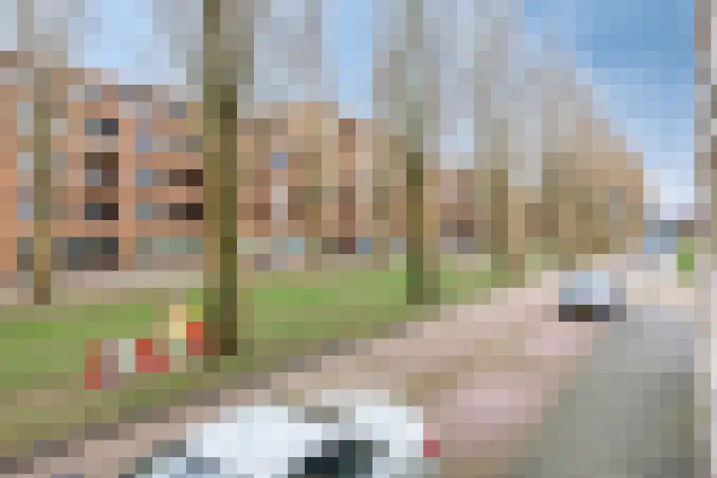 Bing Crosbypad 10 Utrecht thumbnail 43