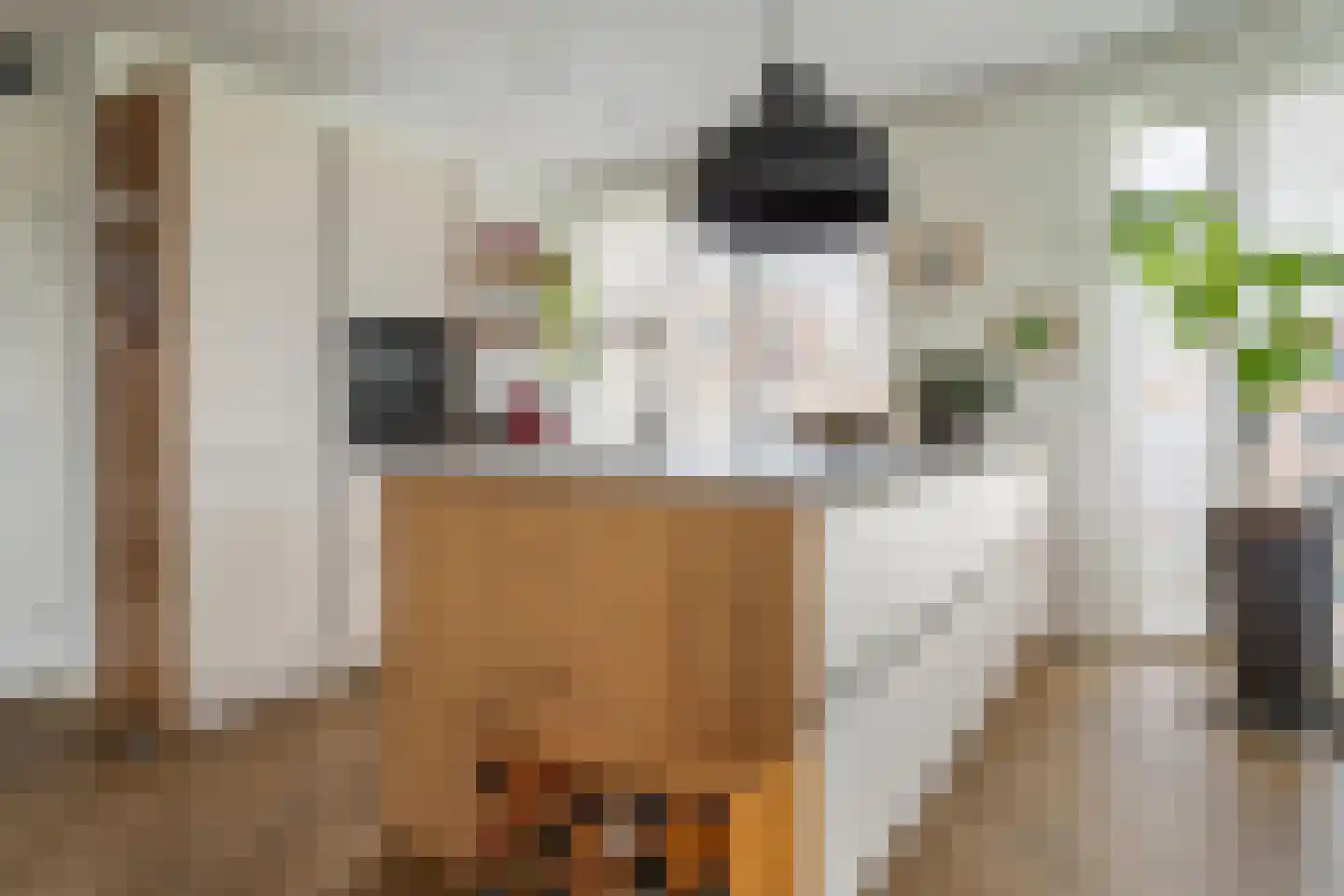 Bing Crosbypad 19 Utrecht thumbnail 10