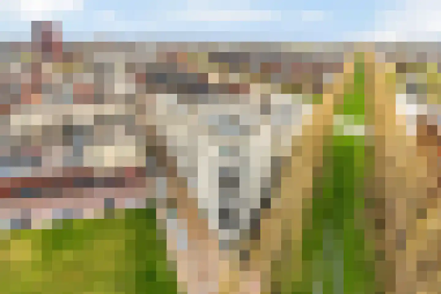 Bing Crosbypad 19 Utrecht thumbnail 33