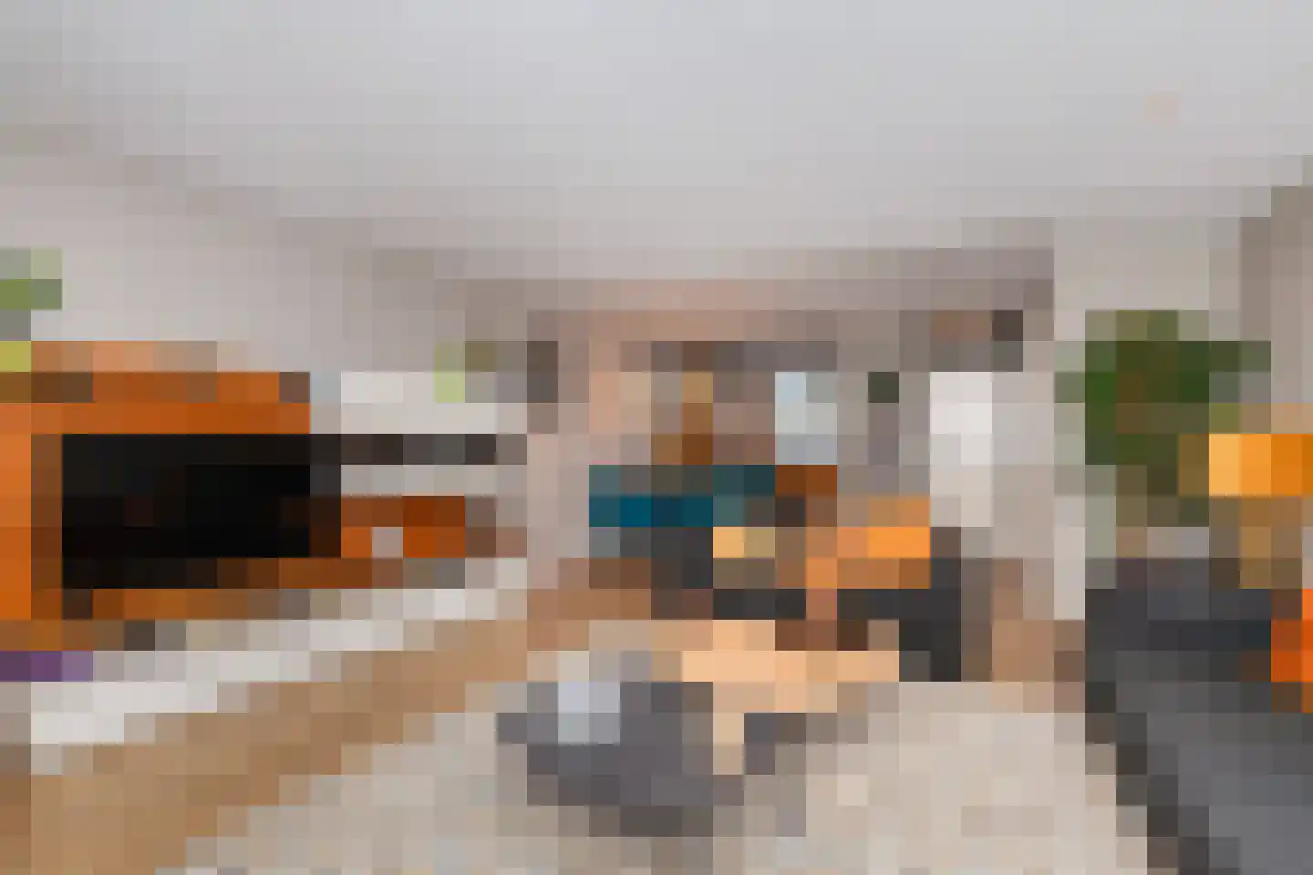 Bingelkruid 22 Vlaardingen thumbnail 11