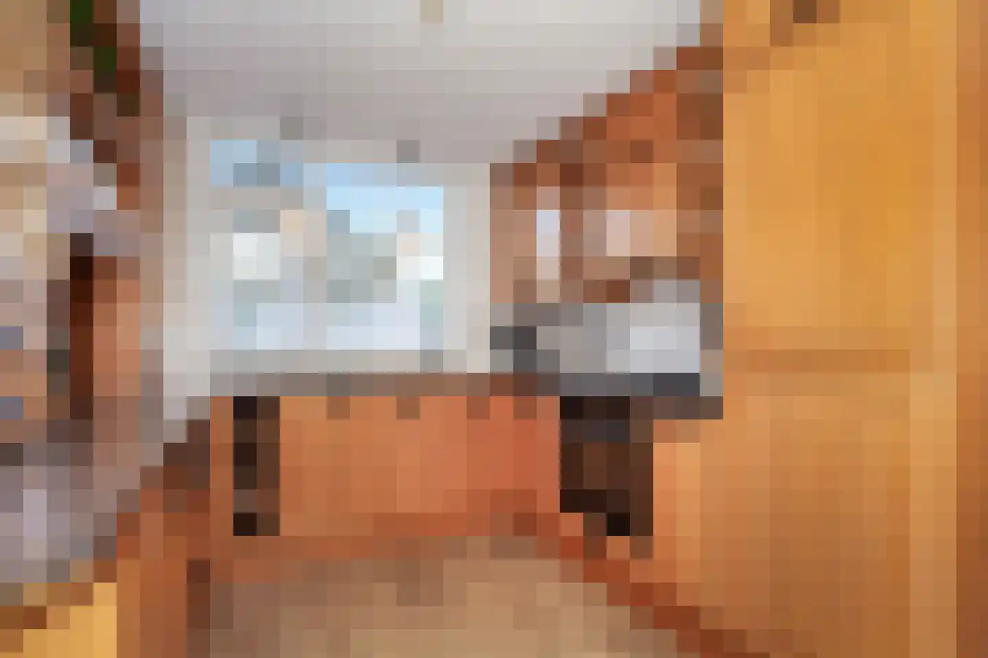 Bingelkruid 22 Vlaardingen thumbnail 13