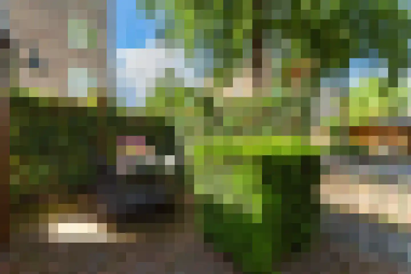 Bingelkruid 22 Vlaardingen thumbnail 16