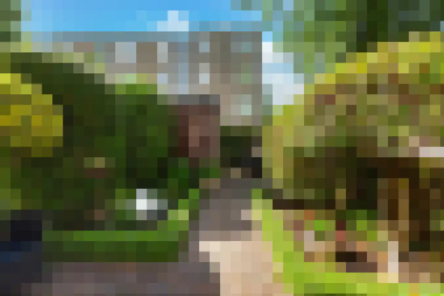 Bingelkruid 22 Vlaardingen thumbnail 17