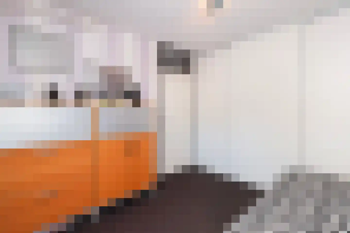 Bingelkruid 22 Vlaardingen thumbnail 19