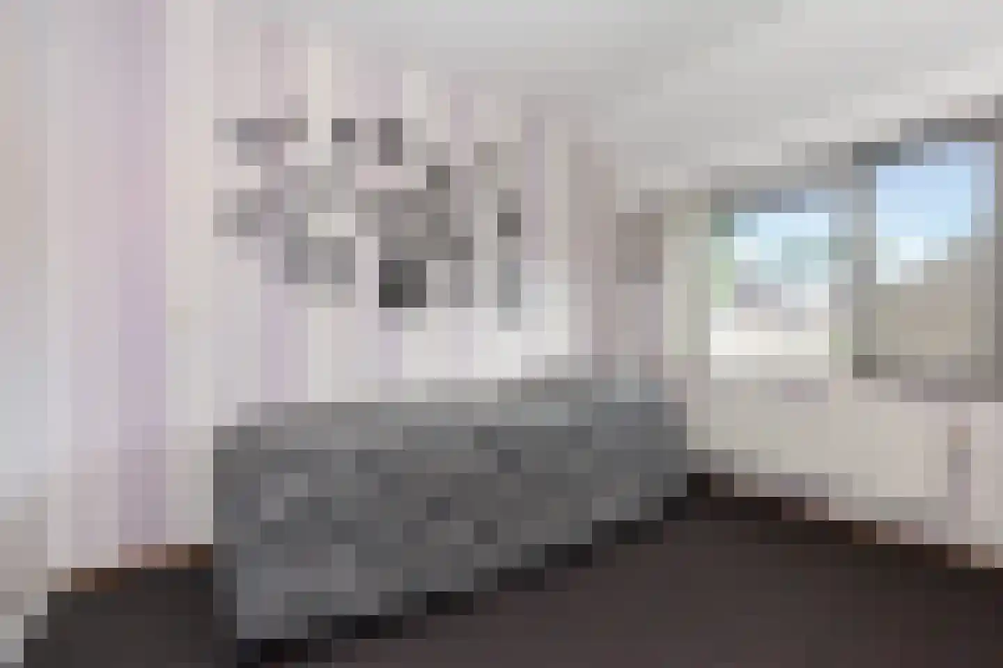 Bingelkruid 22 Vlaardingen thumbnail 21