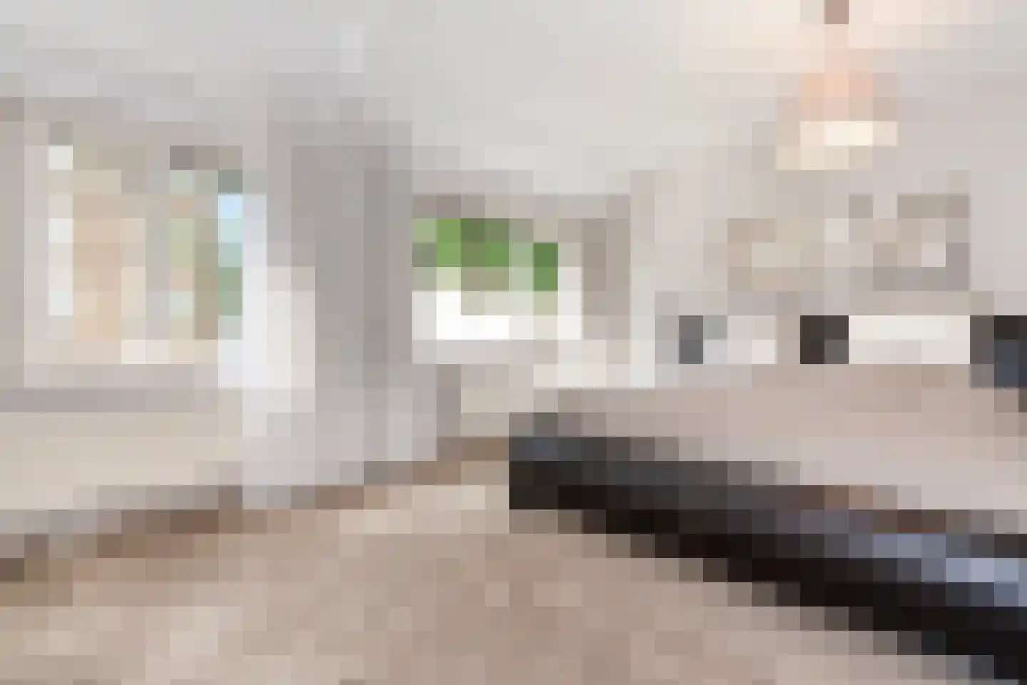 Bingelkruid 22 Vlaardingen thumbnail 23
