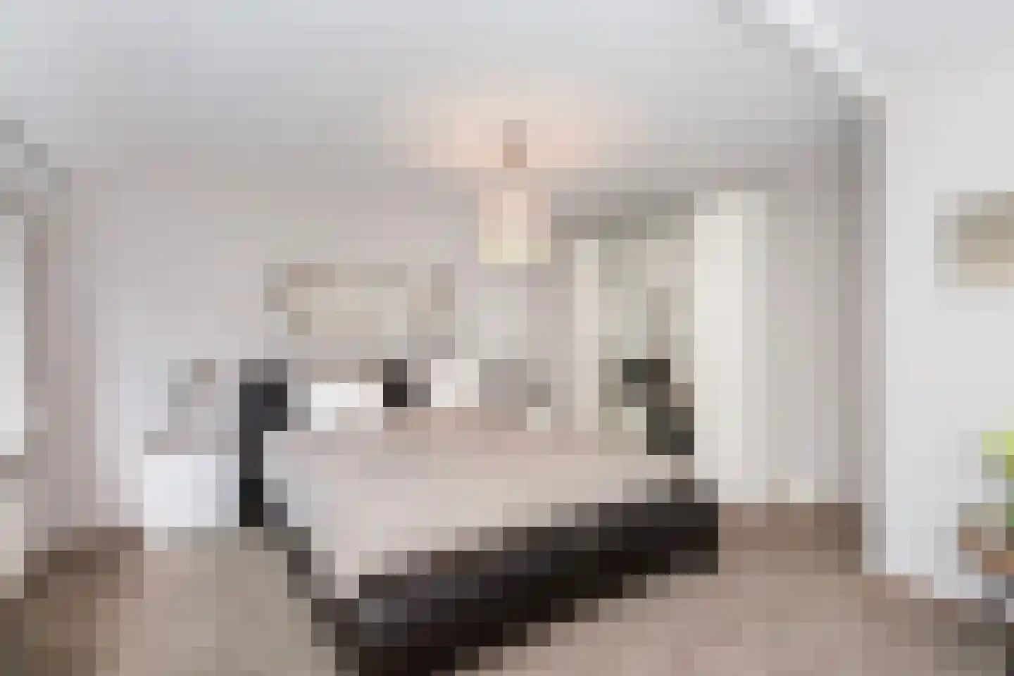 Bingelkruid 22 Vlaardingen thumbnail 24