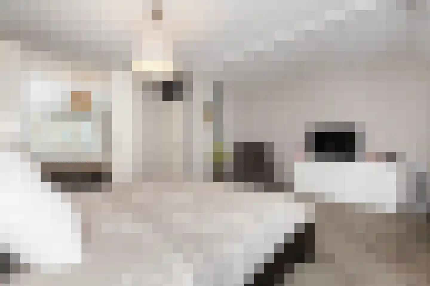 Bingelkruid 22 Vlaardingen thumbnail 25