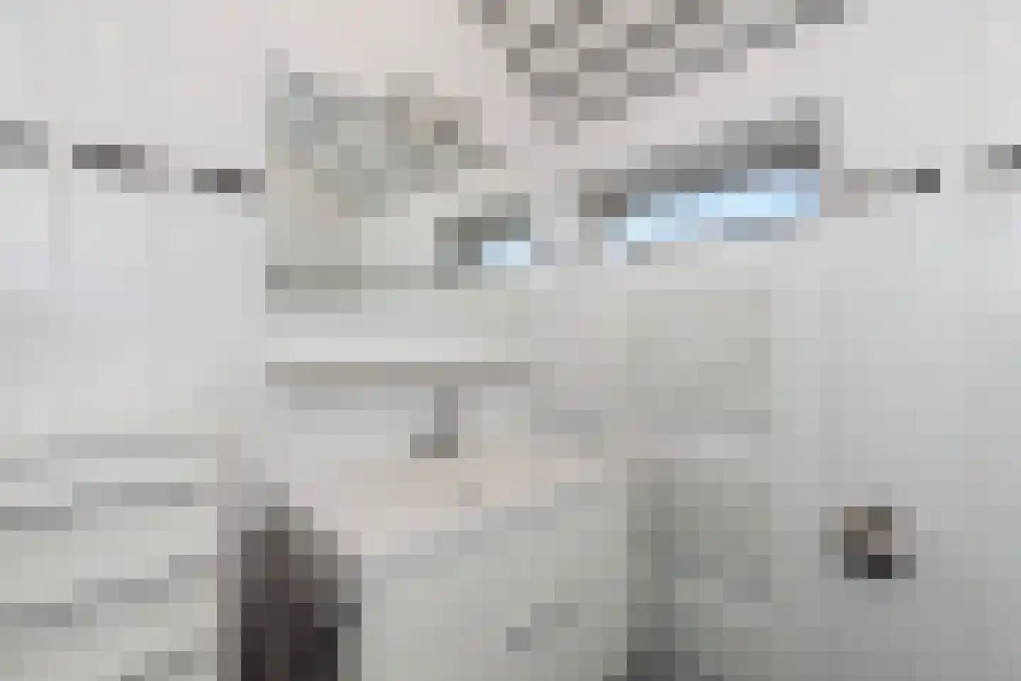 Bingelkruid 22 Vlaardingen thumbnail 27