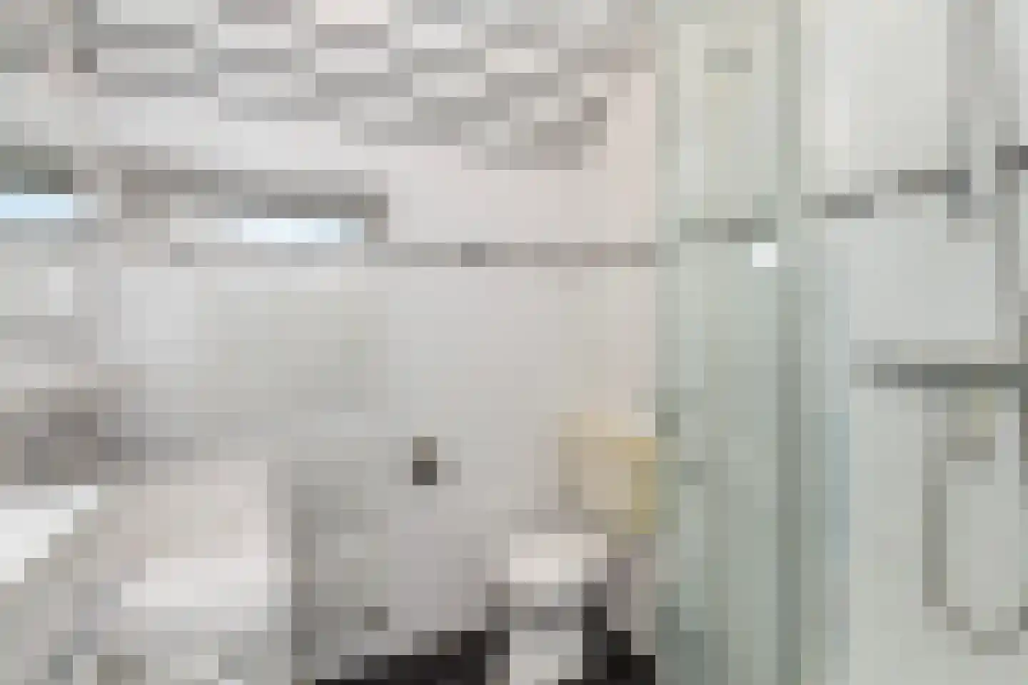 Bingelkruid 22 Vlaardingen thumbnail 28