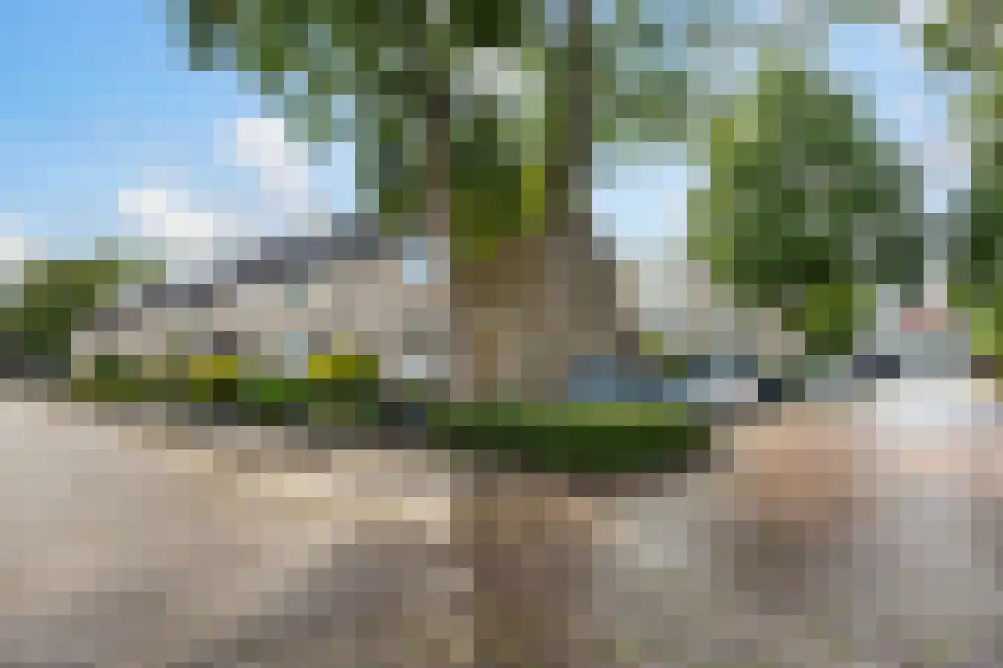 Bingelkruid 22 Vlaardingen thumbnail 34