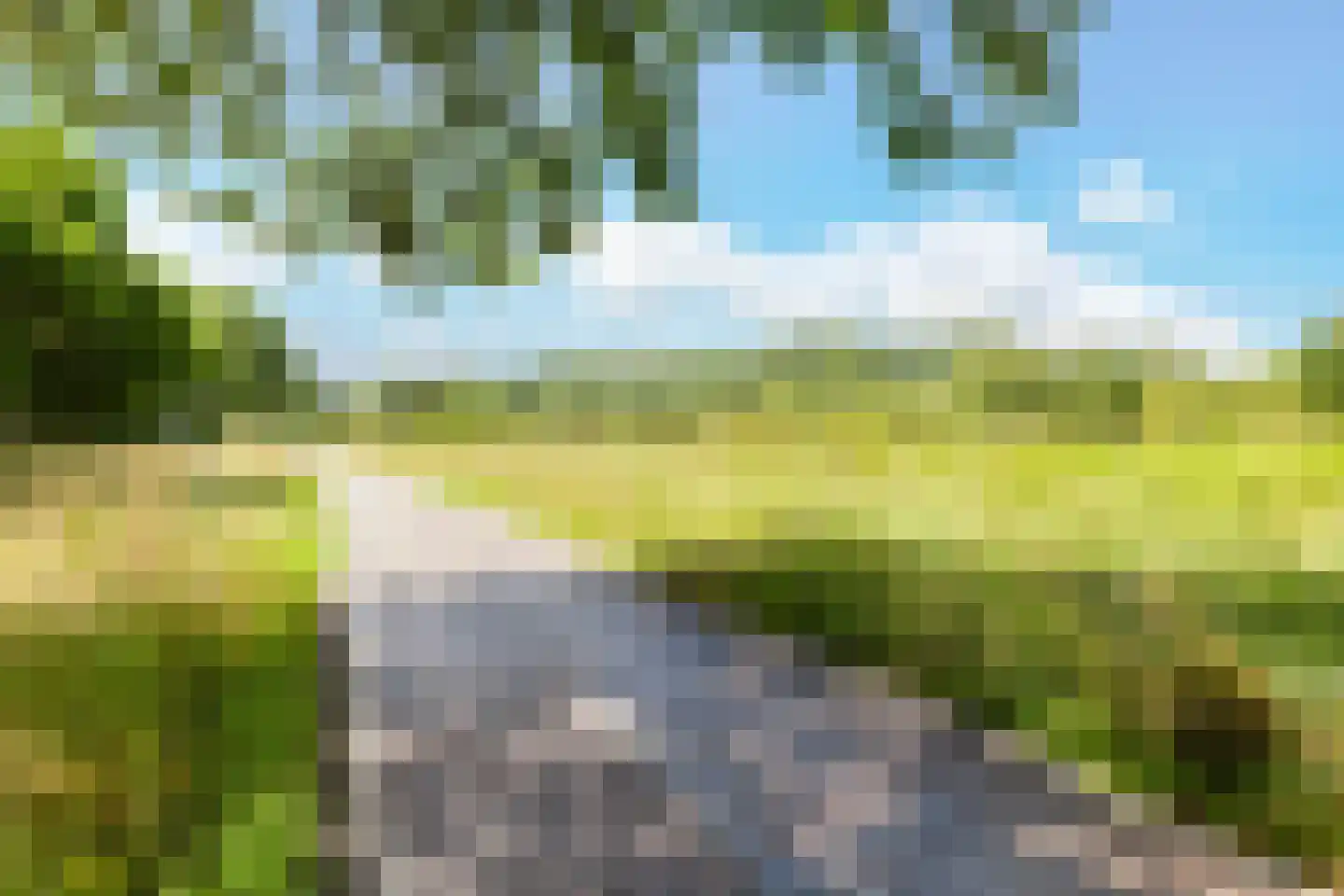 Bingelkruid 22 Vlaardingen thumbnail 36