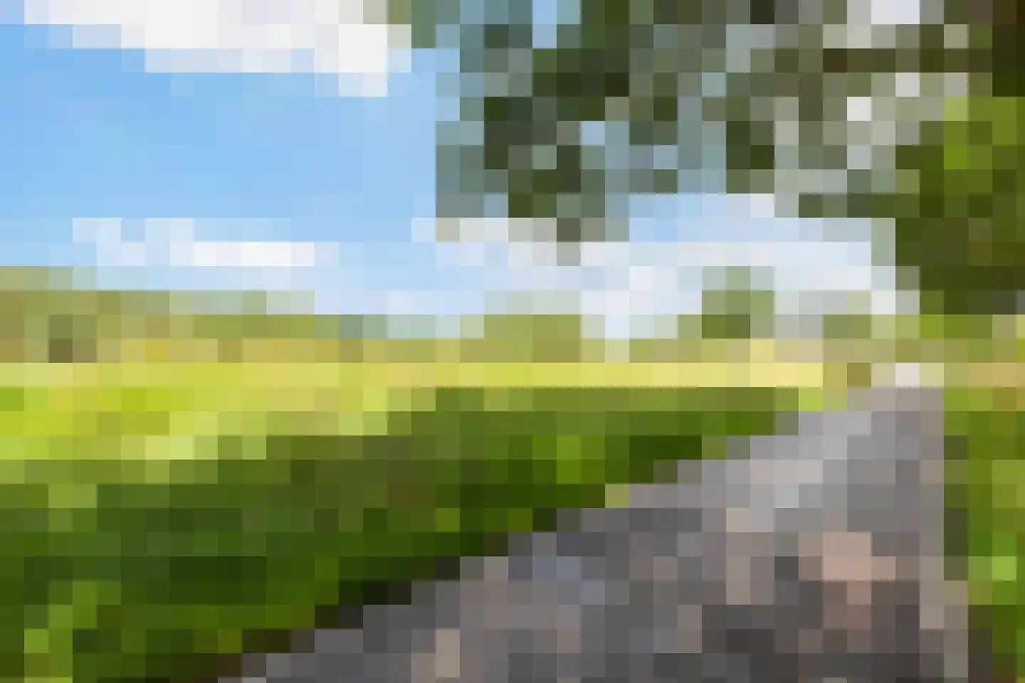 Bingelkruid 22 Vlaardingen thumbnail 37