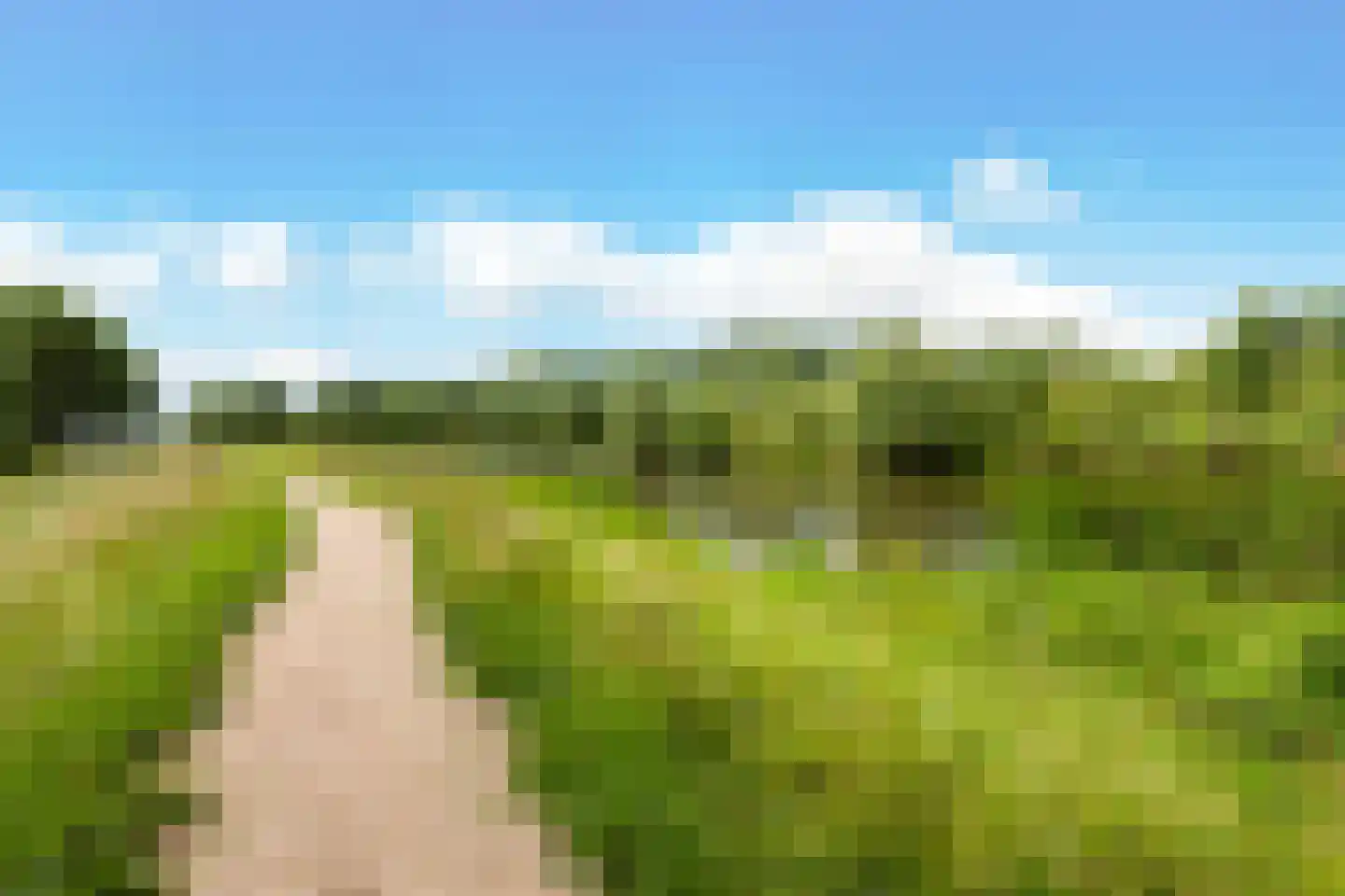 Bingelkruid 22 Vlaardingen thumbnail 38