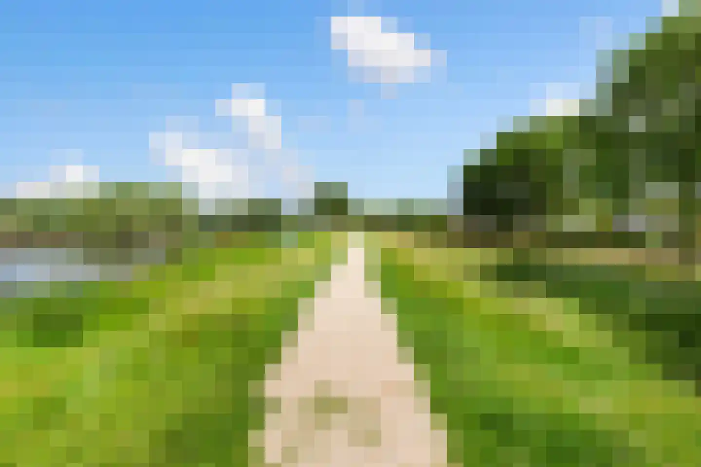Bingelkruid 22 Vlaardingen thumbnail 39