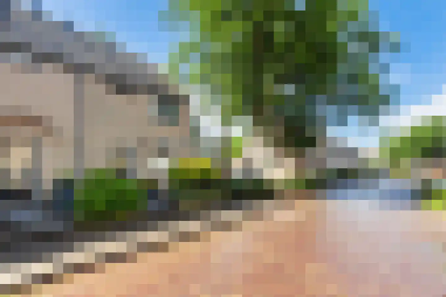 Bingelkruid 22 Vlaardingen thumbnail 5