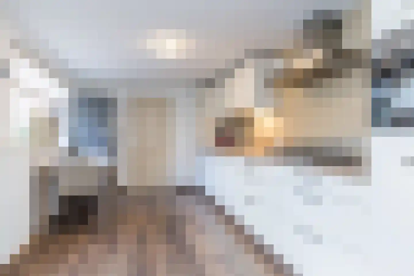 Bingelraderweg 1 Jabeek thumbnail 5
