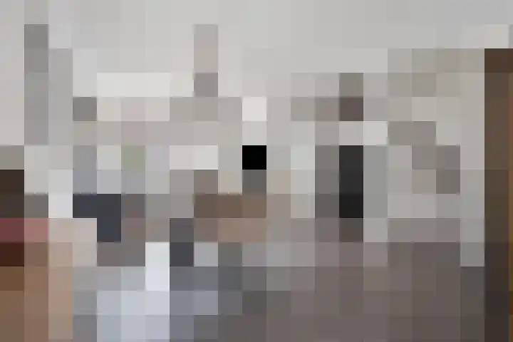 Bingelradestraat 127 Tilburg thumbnail 11