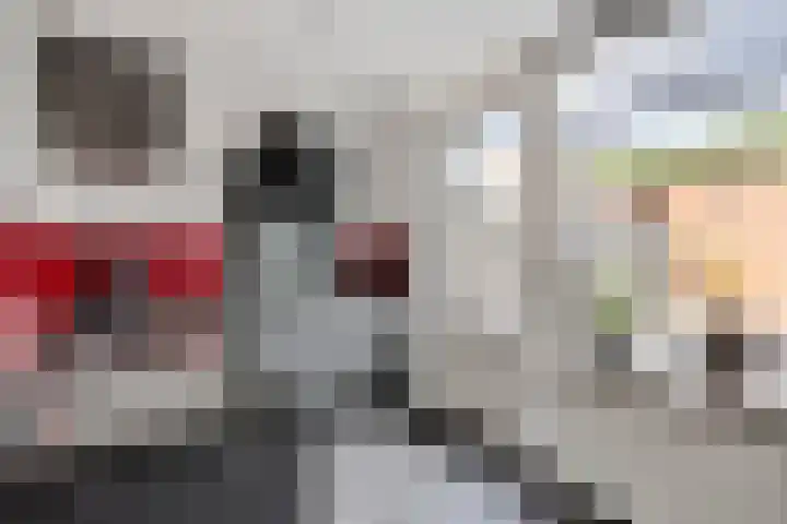 Bingelradestraat 127 Tilburg thumbnail 12