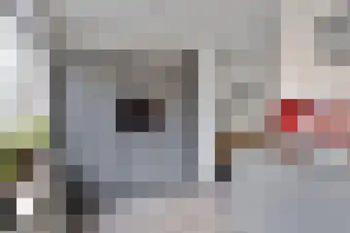 Bingelradestraat 127 Tilburg thumbnail 16