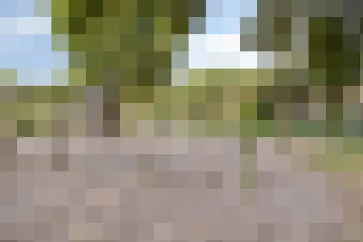 Bingelradestraat 127 Tilburg thumbnail 39