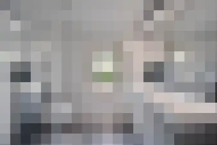 Bingelradestraat 127 Tilburg thumbnail 4