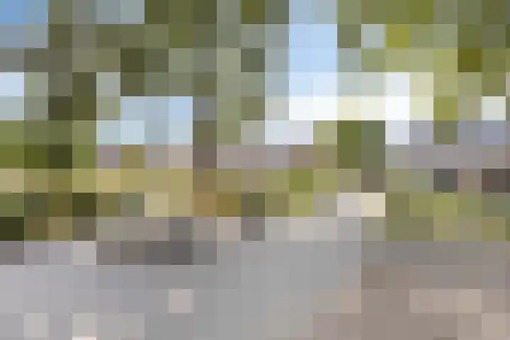 Bingelradestraat 127 Tilburg thumbnail 42