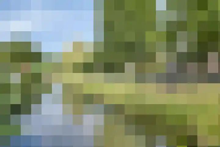 Bingelradestraat 127 Tilburg thumbnail 43