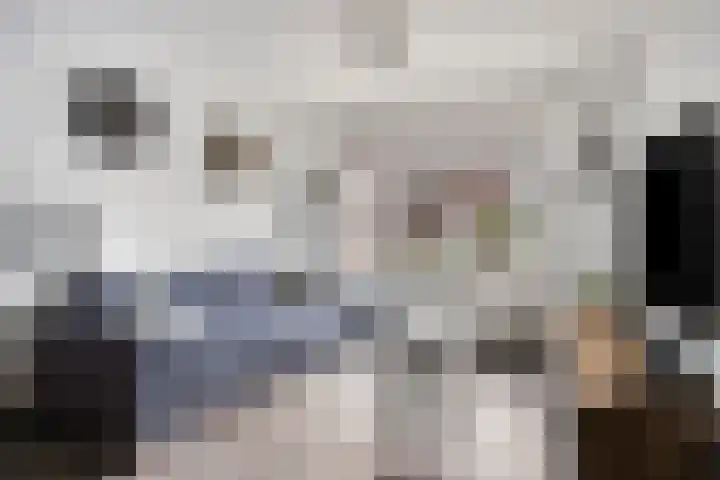 Bingelradestraat 127 Tilburg thumbnail 7