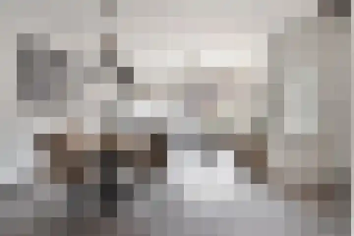 Bingelradestraat 127 Tilburg thumbnail 8