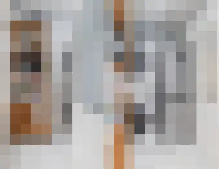 Bingelradestraat 21 Tilburg thumbnail 11