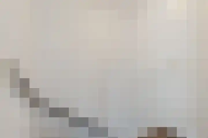 Bingelradestraat 21 Tilburg thumbnail 20