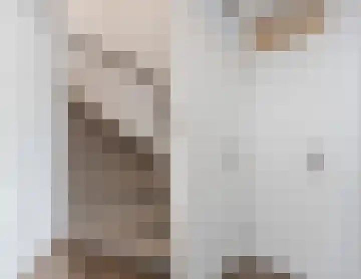 Bingelradestraat 21 Tilburg thumbnail 22