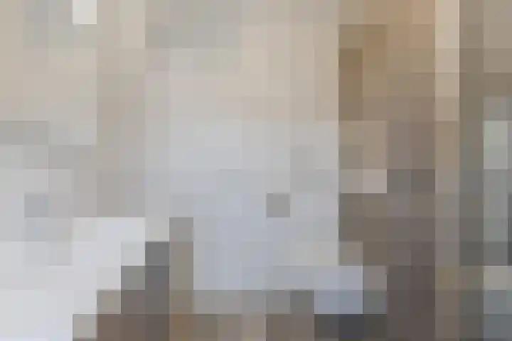 Bingelradestraat 21 Tilburg thumbnail 24