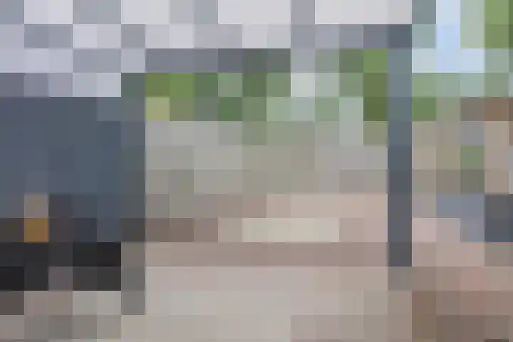 Bingelradestraat 21 Tilburg thumbnail 25
